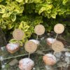 Cedulky do sweet baru – hnědé, vroubkované
